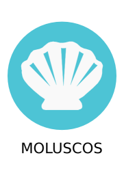 Moluscos