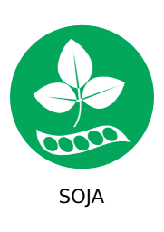 Soja